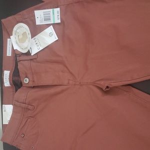 CURVE APPEAL MINIMALIST JEGGING PANTS